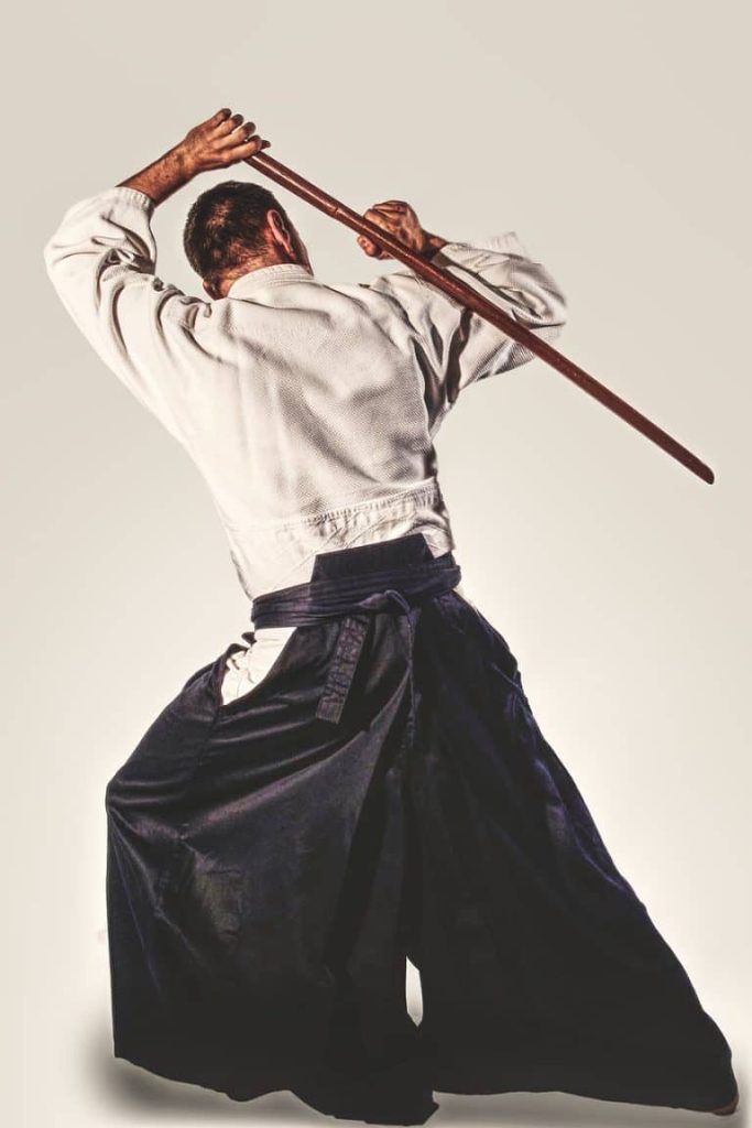 aikido-7386630_1280-768x1152 aikido kimono
